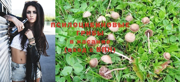 СК Баксан