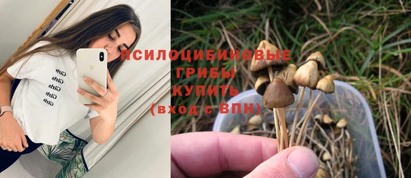 винт Балахна