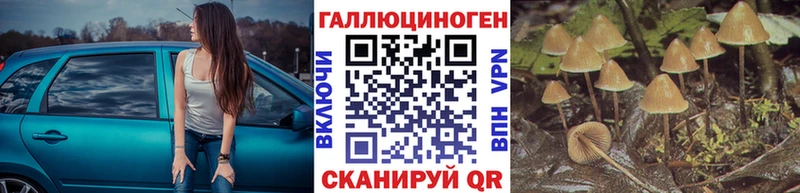 Галлюциногенные грибы MAGIC MUSHROOMS  даркнет какой сайт  Кущёвская 
